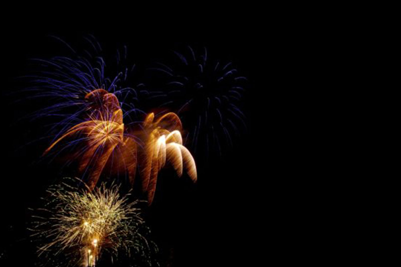 5 Tipps, um Hund und Katze an Silvester zu helfen