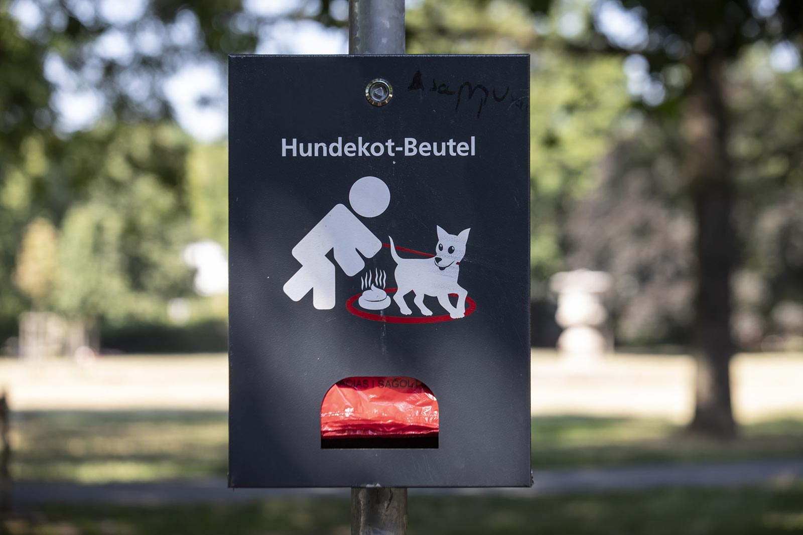 Der Dreck muss weg! Wann du Hundekotbeutel brauchst