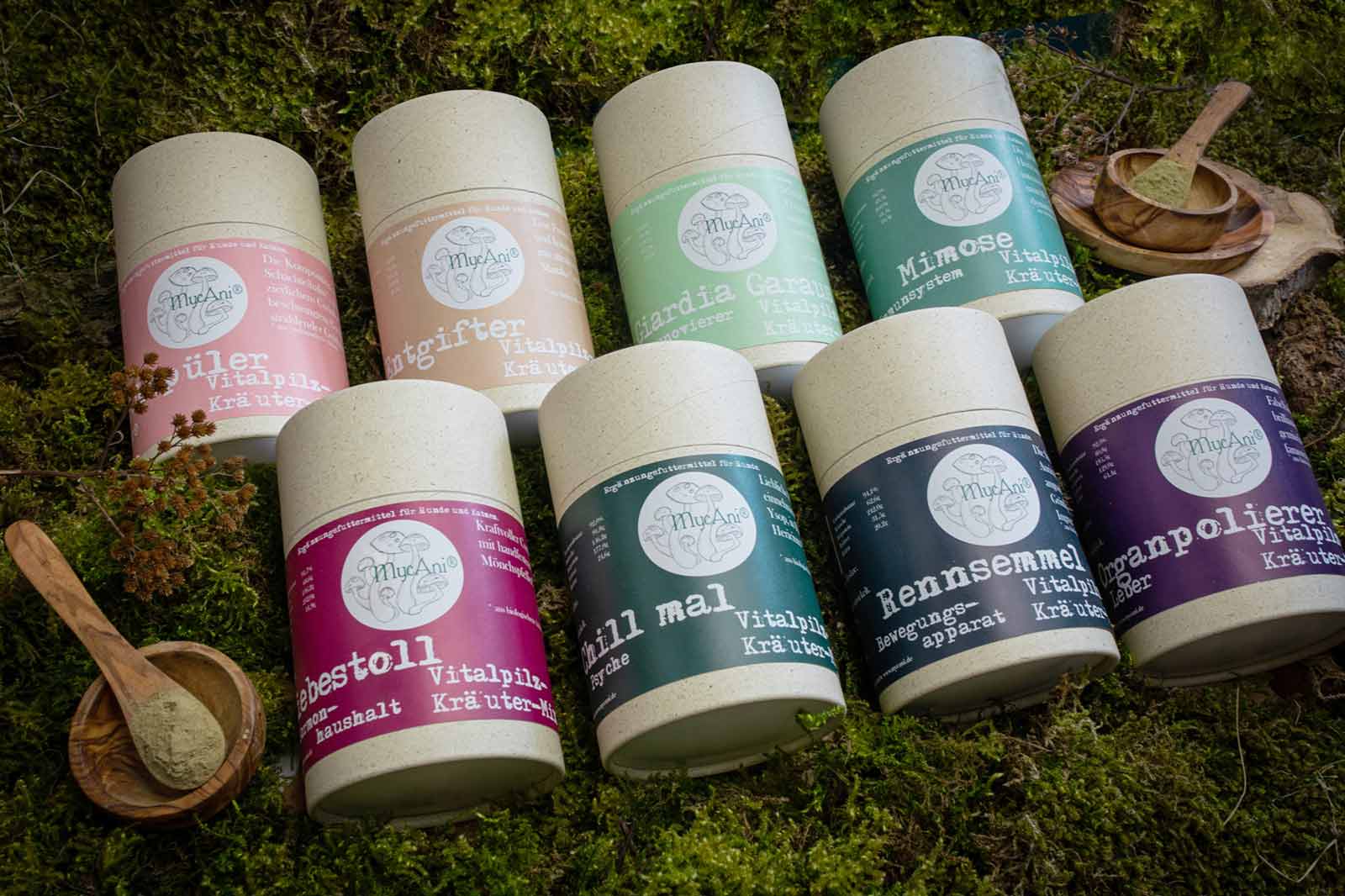 Herstellungsprozesse bei MycAni – wie entstehen die Vitalpilz-Kräuter-Mischungen?