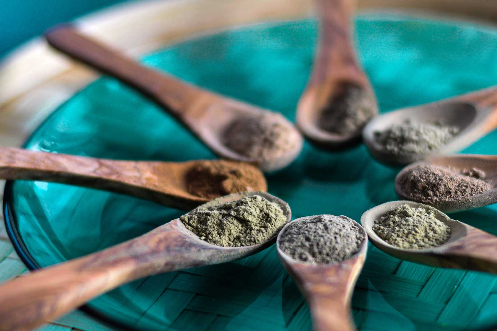 Porträt der relevanten Vitalpilze – Teil 2