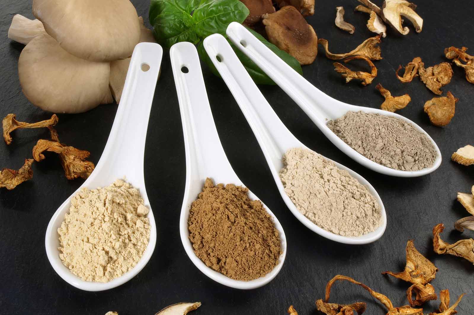 Wie wichtig ist die Herkunft der Vitalpilze?