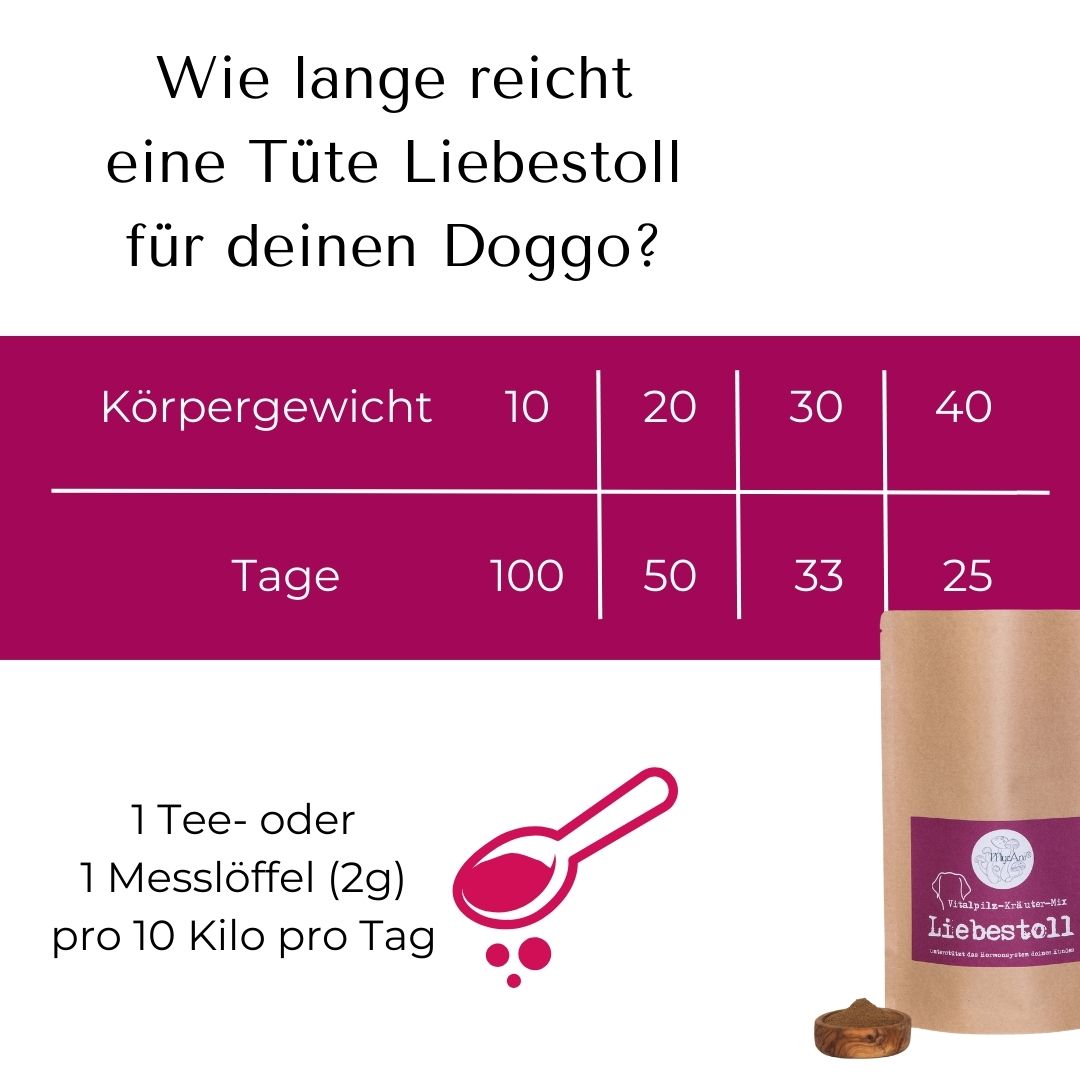 Liebestoll für Hunde & Katzen