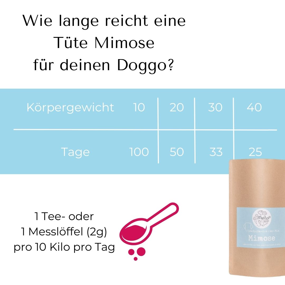 Mimose für Hunde & Katzen