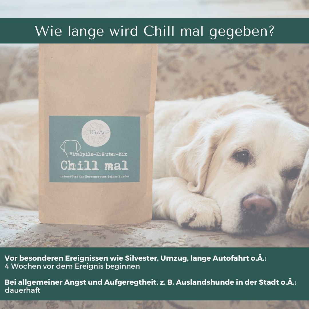 Chill mal für Hunde & Katzen