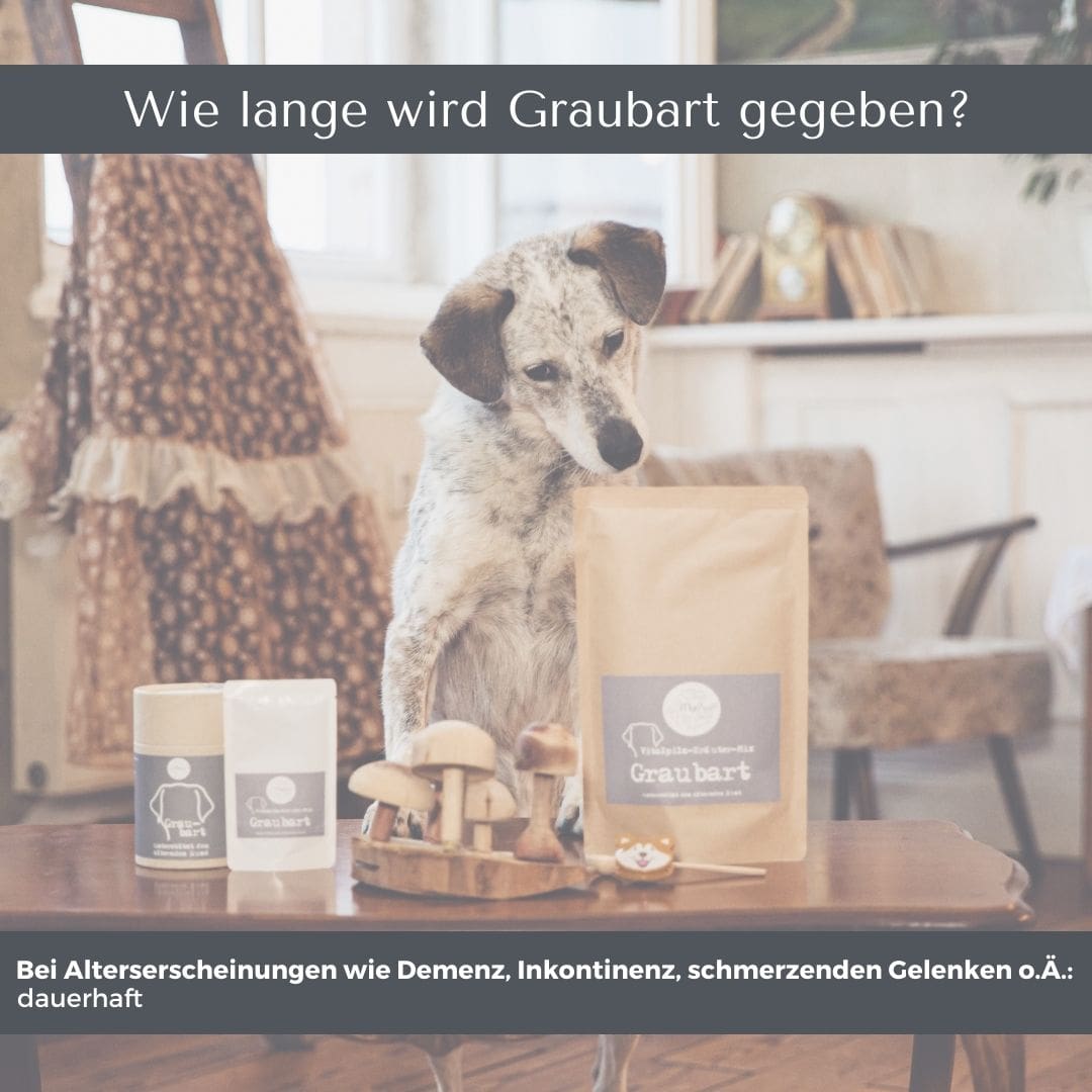 Graubart für Hunde & Katzen