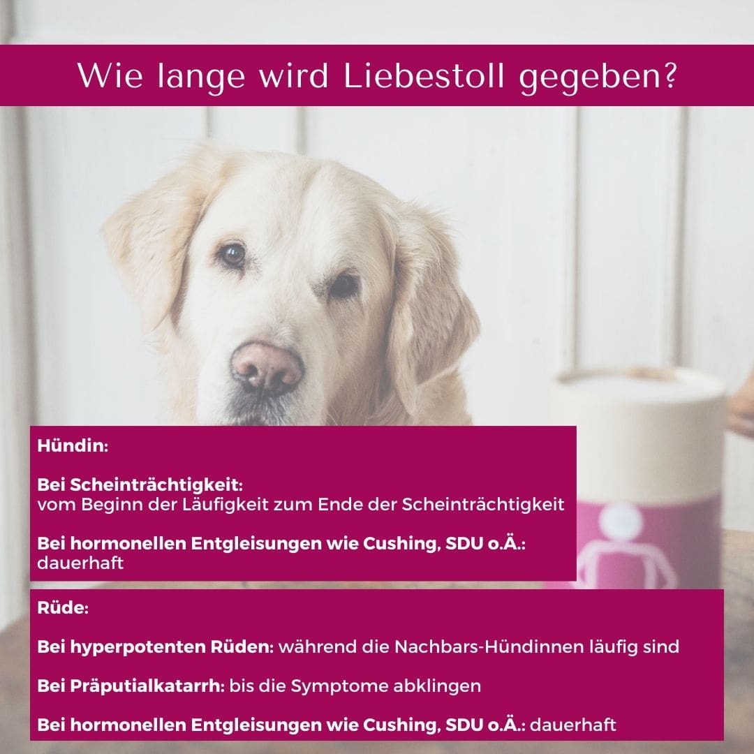Liebestoll für Hunde & Katzen
