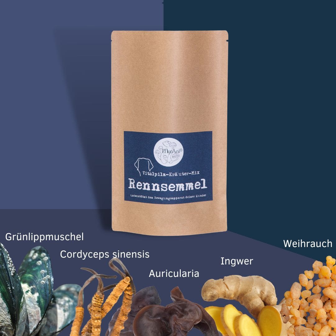 Rennsemmel für Hunde & Katzen