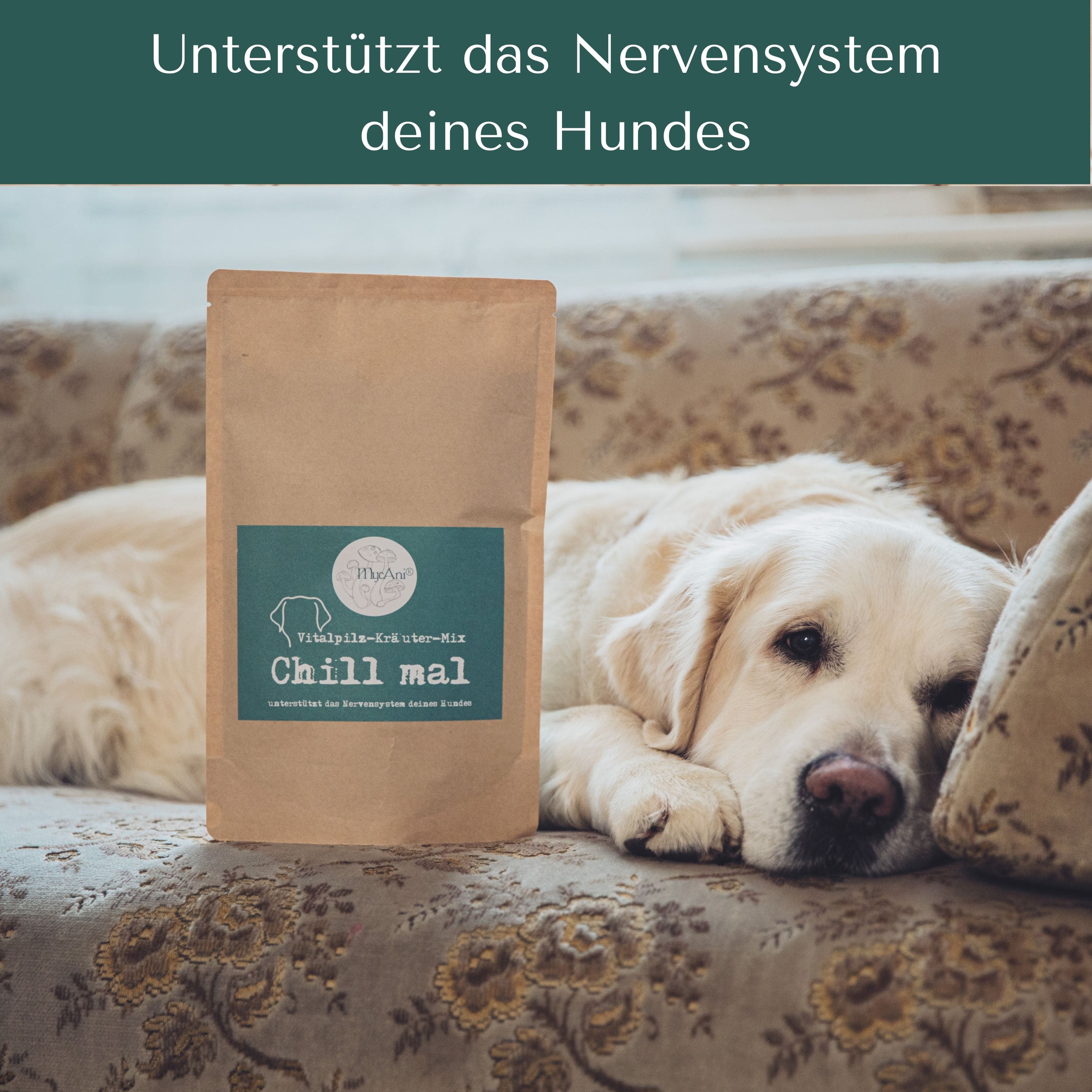 Chill mal für Hunde & Katzen