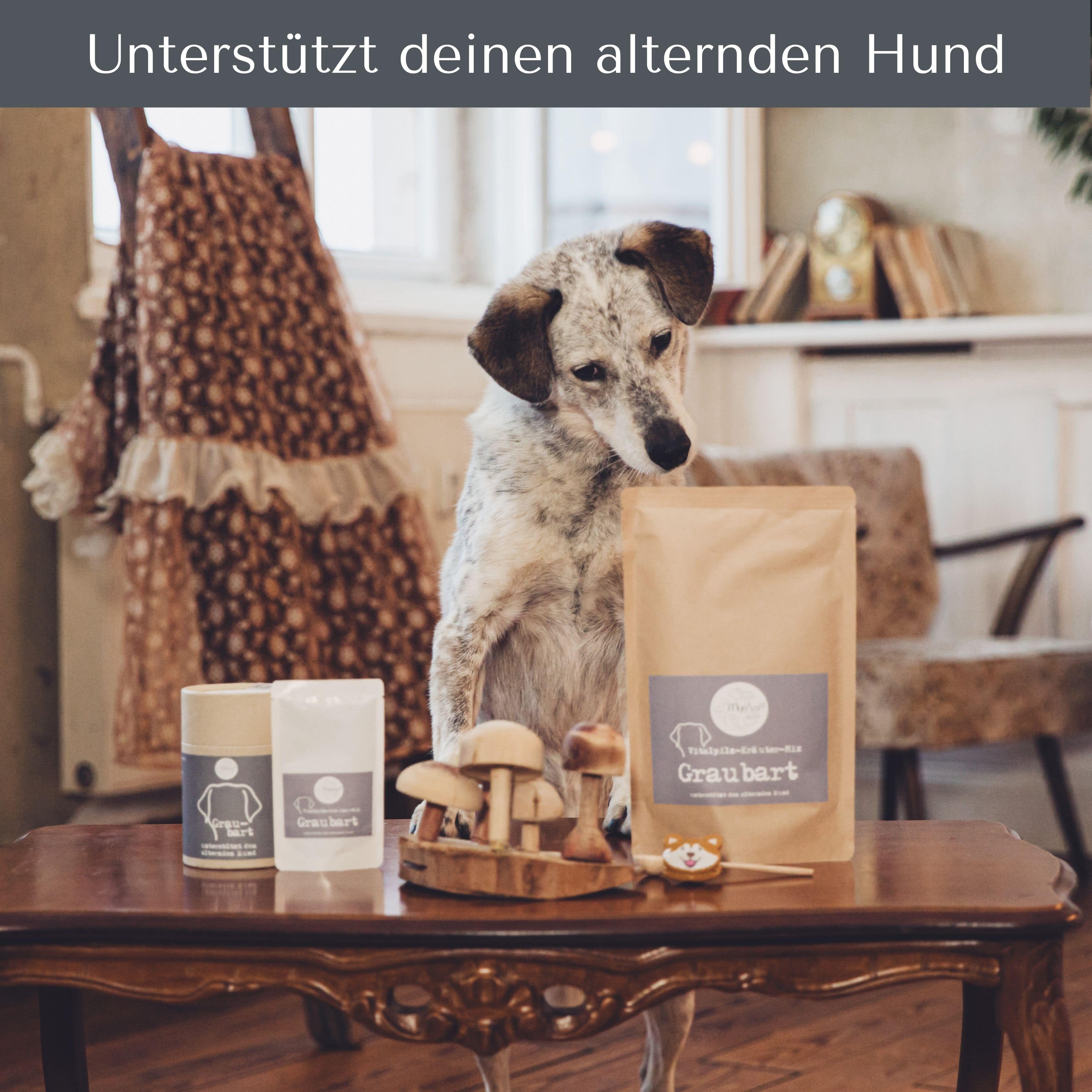 Graubart für Hunde & Katzen