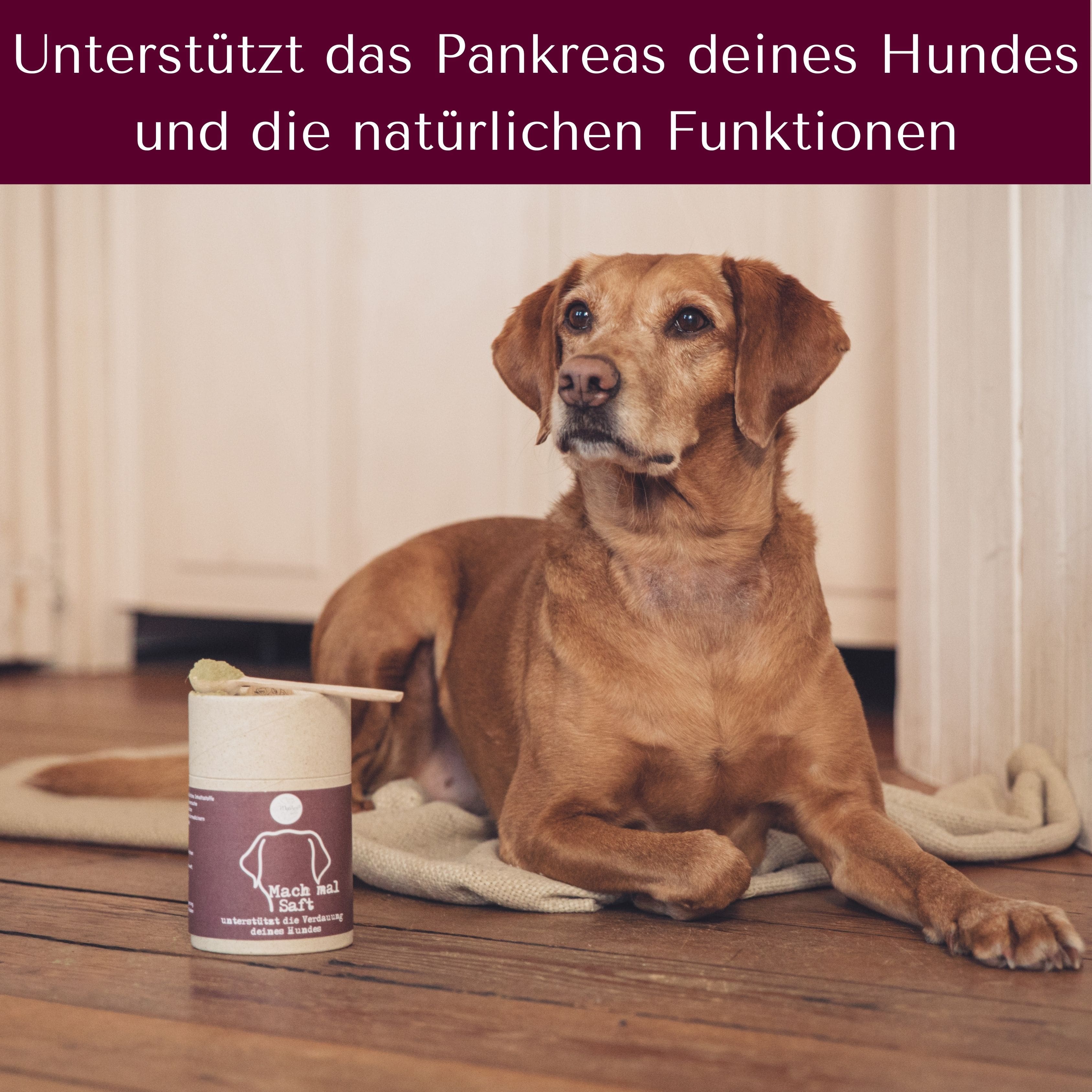 Mach mal Saft für Hunde & Katzen