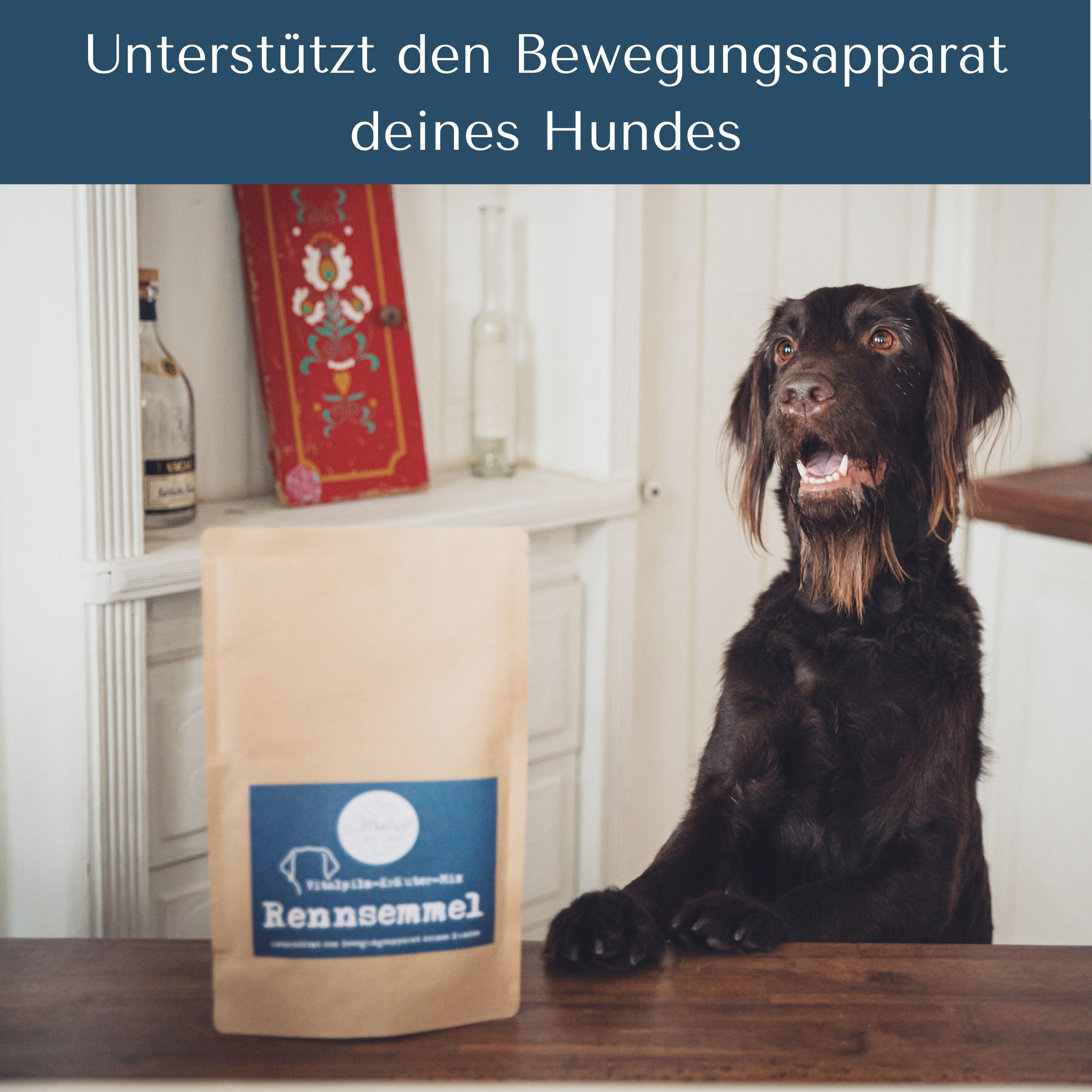 Rennsemmel für Hunde & Katzen
