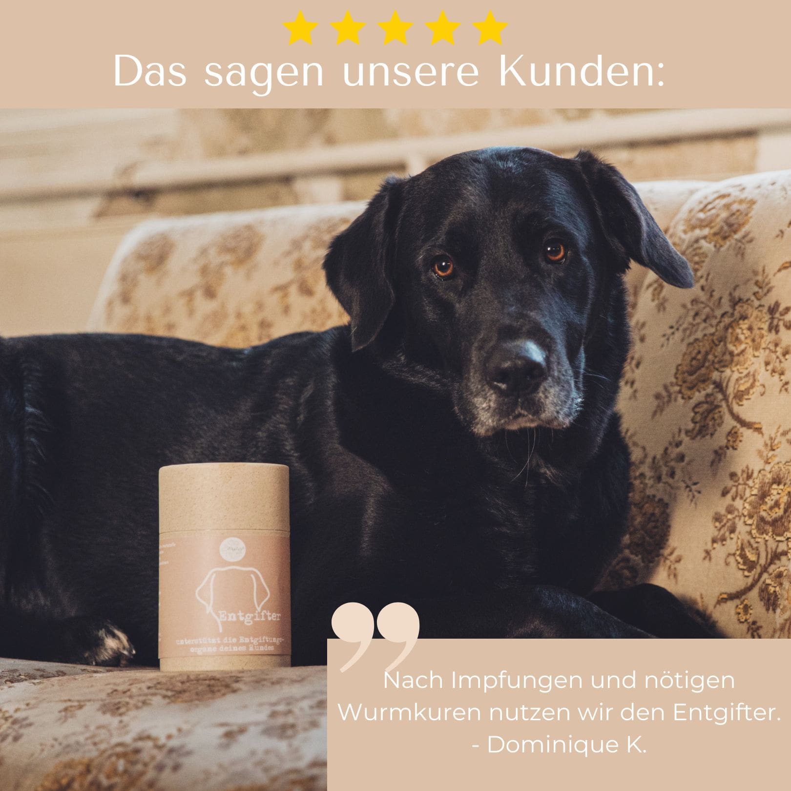Entgifter für Hunde & Katzen