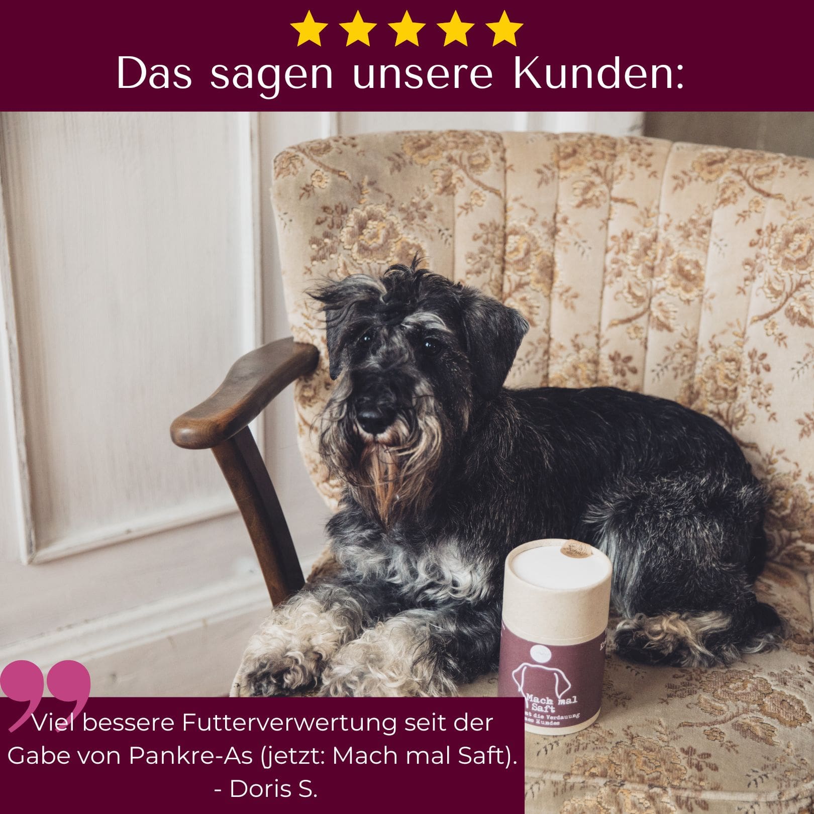 Mach mal Saft für Hunde & Katzen