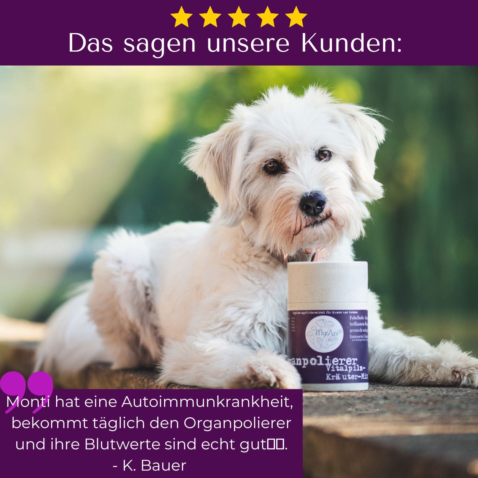 Organpolierer für Hunde & Katzen